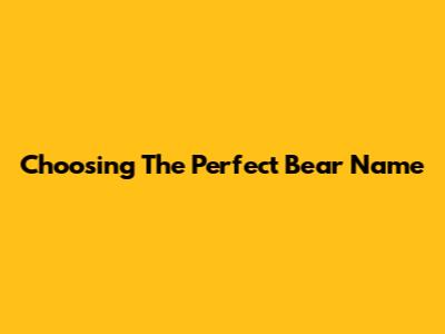 Choosing The Perfect Bear Name
