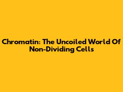 Chromatin: The Uncoiled World Of Non-Dividing Cells