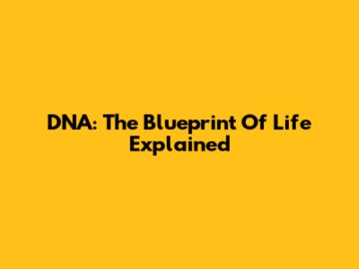 DNA: The Blueprint Of Life Explained