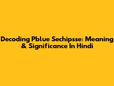 Decoding Pblue Sechipsse: Meaning & Significance In Hindi