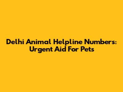 Delhi Animal Helpline Numbers: Urgent Aid For Pets