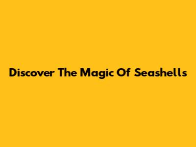 Discover The Magic Of Seashells