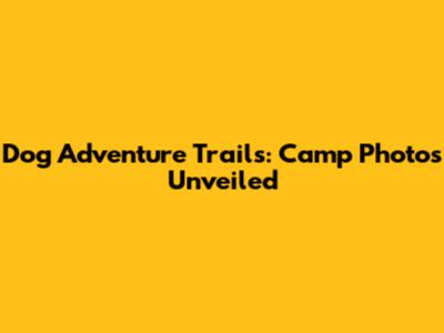 Dog Adventure Trails: Camp Photos Unveiled