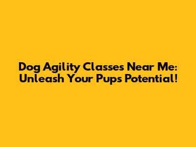 Dog Agility Classes Near Me: Unleash Your Pup's Potential!