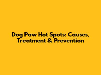 Dog Paw Hot Spots: Causes, Treatment & Prevention