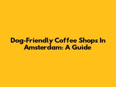 Dog-Friendly Coffee Shops In Amsterdam: A Guide