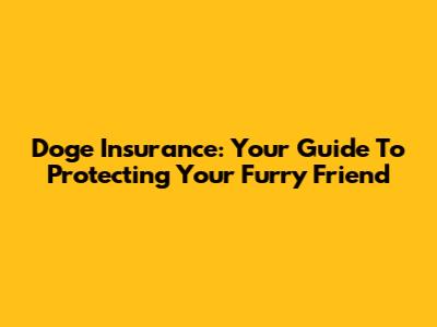 Doge Insurance: Your Guide To Protecting Your Furry Friend