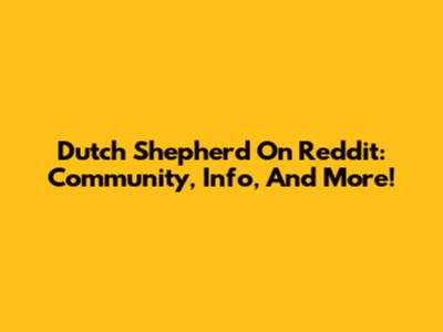 Dutch Shepherd On Reddit: Community, Info, And More!