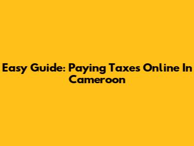 Easy Guide: Paying Taxes Online In Cameroon