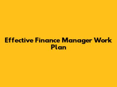 Effective Finance Manager Work Plan