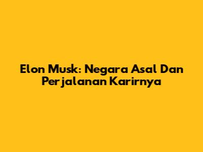 Elon Musk: Negara Asal Dan Perjalanan Karirnya
