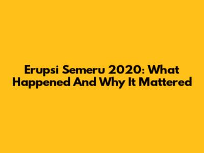 Erupsi Semeru 2020: What Happened And Why It Mattered