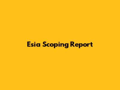 Esia Scoping Report