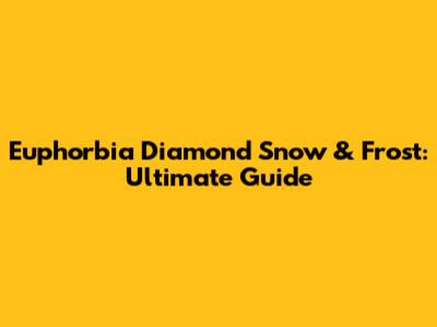 Euphorbia Diamond Snow & Frost: Ultimate Guide