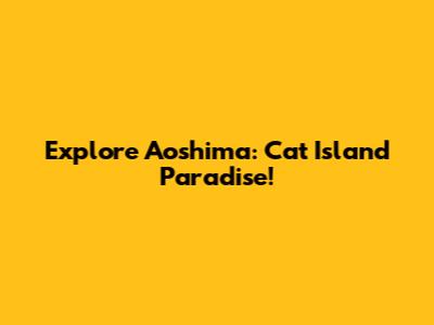 Explore Aoshima: Cat Island Paradise!