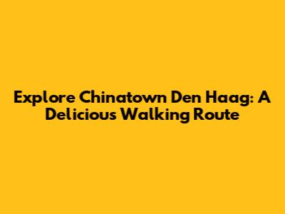 Explore Chinatown Den Haag: A Delicious Walking Route
