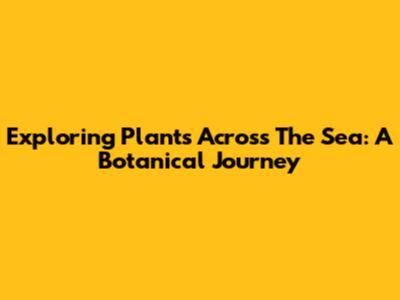 Exploring Plants Across The Sea: A Botanical Journey
