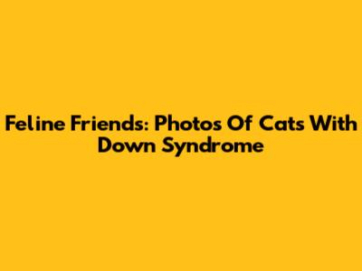 Feline Friends: Photos Of Cats With Down Syndrome