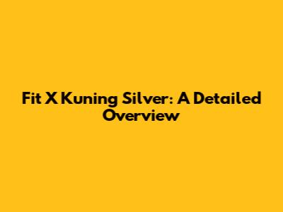 Fit X Kuning Silver: A Detailed Overview