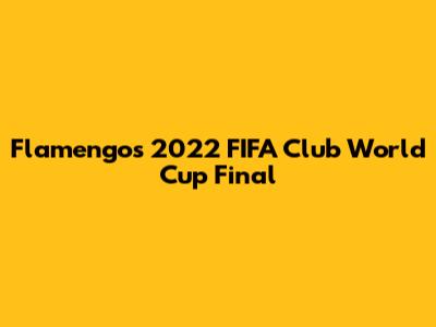 Flamengo's 2022 FIFA Club World Cup Final