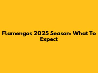 Flamengo's 2025 Season: What To Expect