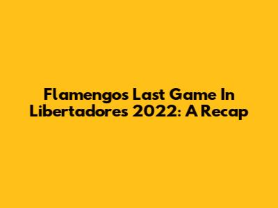 Flamengo's Last Game In Libertadores 2022: A Recap