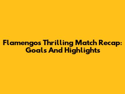 Flamengo's Thrilling Match Recap: Goals And Highlights