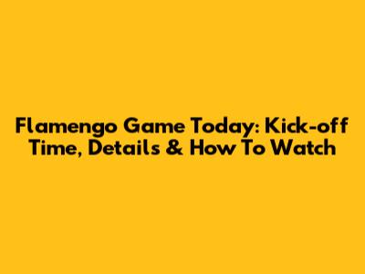 Flamengo Game Today: Kick-off Time, Details & How To Watch