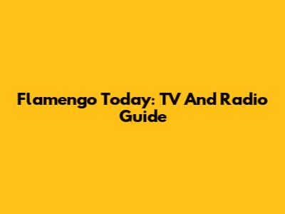 Flamengo Today: TV And Radio Guide