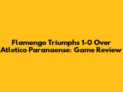 Flamengo Triumphs 1-0 Over Atletico Paranaense: Game Review