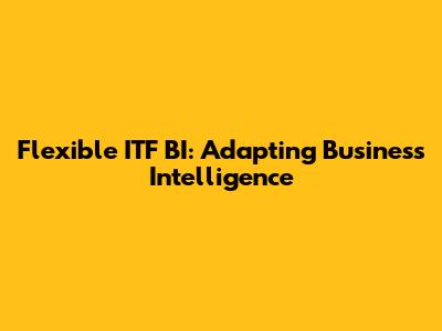 Flexible ITF BI: Adapting Business Intelligence