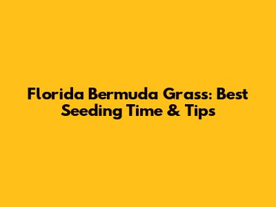 Florida Bermuda Grass: Best Seeding Time & Tips