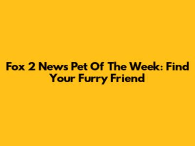 Fox 2 News Pet Of The Week: Find Your Furry Friend
