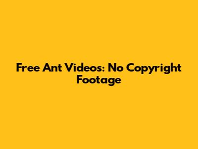 Free Ant Videos: No Copyright Footage
