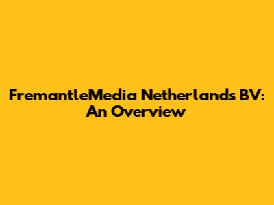 FremantleMedia Netherlands BV: An Overview