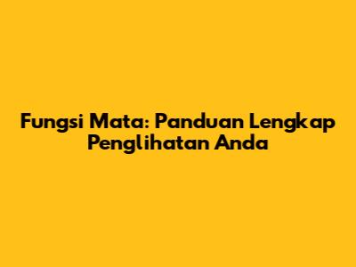 Fungsi Mata: Panduan Lengkap Penglihatan Anda