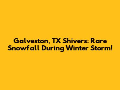 Galveston, TX Shivers: Rare Snowfall During Winter Storm!