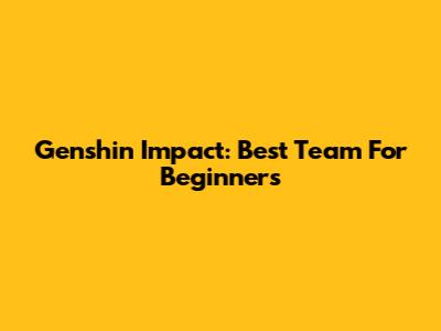 Genshin Impact: Best Team For Beginners