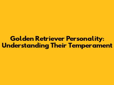 Golden Retriever Personality: Understanding Their Temperament