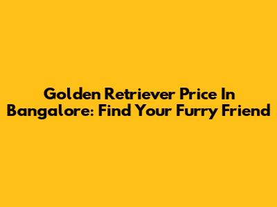 Golden Retriever Price In Bangalore: Find Your Furry Friend