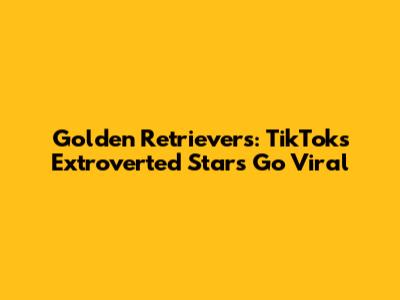Golden Retrievers: TikTok's Extroverted Stars Go Viral