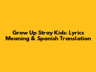 Grow Up Stray Kids: Lyrics Meaning & Spanish Translation