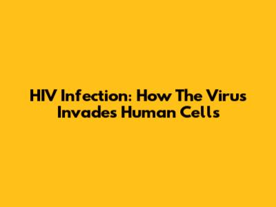 HIV Infection: How The Virus Invades Human Cells