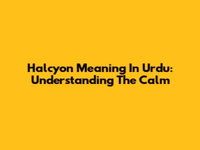Halcyon Meaning In Urdu: Understanding The Calm
