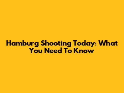 Hamburg Shooting Today: What You Need To Know