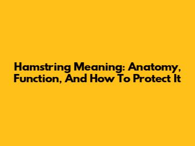 Hamstring Meaning: Anatomy, Function, And How To Protect It
