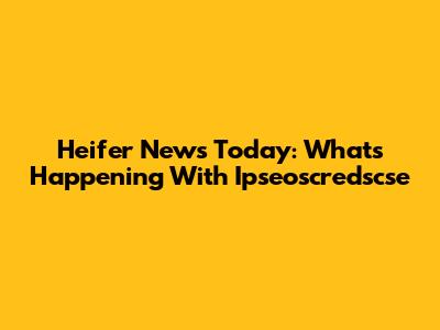 Heifer News Today: What's Happening With Ipseoscredscse