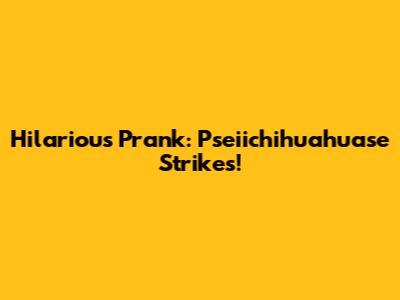 Hilarious Prank: Pseiichihuahuase Strikes!