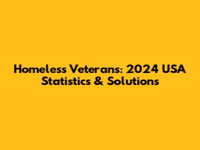 Homeless Veterans: 2024 USA Statistics & Solutions