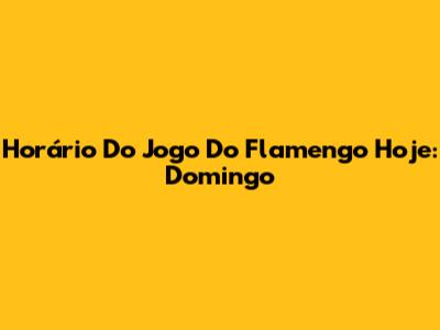 Horário Do Jogo Do Flamengo Hoje: Domingo